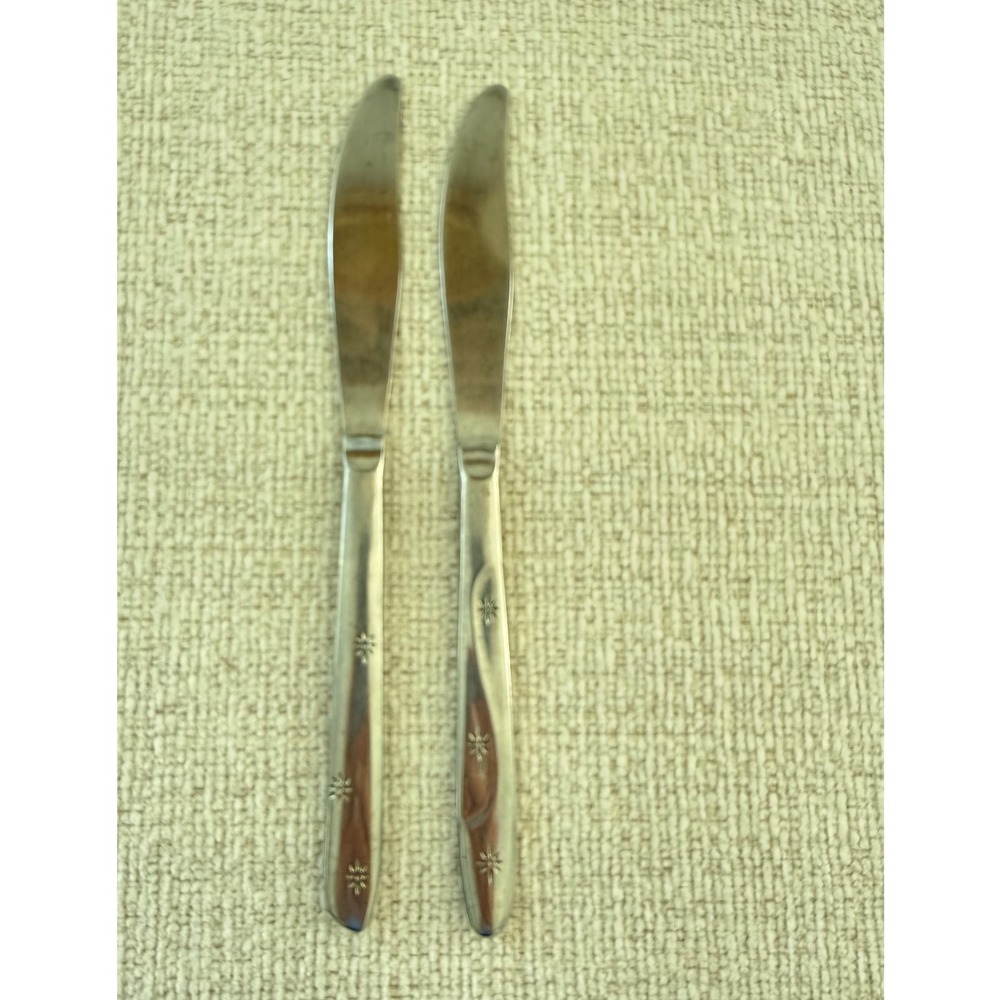International Stainless Steel AMERICANA STAR Lot of 2 Dinner Knives